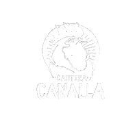 cantinacanalla mexico madrid tacos malaga Sticker