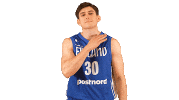 National Team Basketball Sticker by Basket_fi