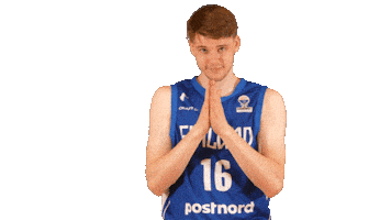 National Team Basketball Sticker by Basket_fi