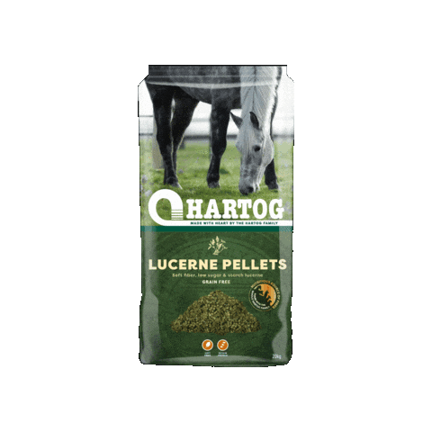 Horse Sticker by Hartog Horsefeed