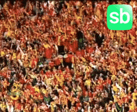 Futbol Match GIF by Sporbulteni