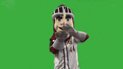 corvallisknights baseball night knights mack GIF
