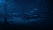 Shadow And Bone GIF by NETFLIX