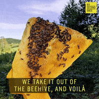 Art Artist GIF by 60 Second Docs