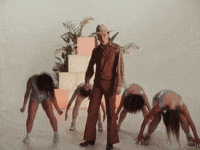 Hummingbird GIF by Mark Diamond