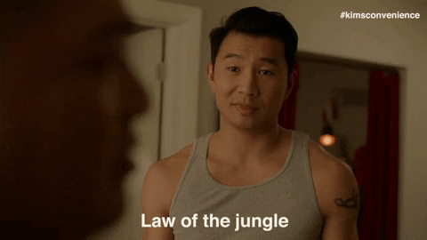 law of the jungle cbc GIF by Kim's Convenience