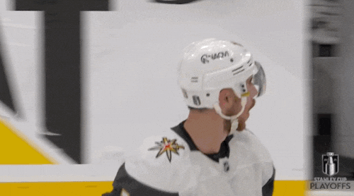 Stanley Cup Playoffs Celebration GIF by NHL