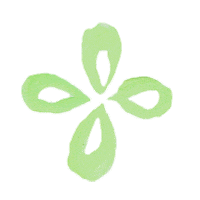 Summer Flower Sticker by Kendra Scott