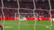 celebrate sl benfica GIF by Sport Lisboa e Benfica