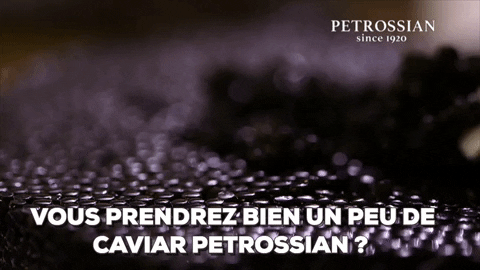 petrossian giphygifmaker bravo question gourmet GIF