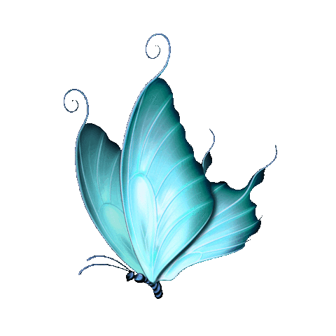 elistorycriativo butterfly borboletas elistorycriativo borboleta Sticker