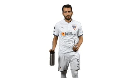 Mate Sticker by LDU_Oficial