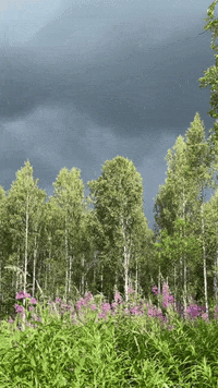 Sky Bg GIF