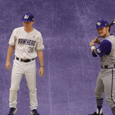 Baseball Wesleyan GIF by KWC Panthers