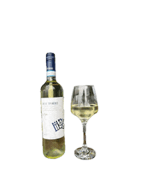 Pinot Grigio Wijnen Sticker by Café Waddenzee