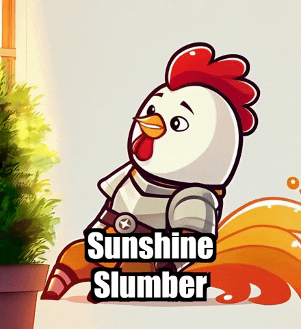 Sun Relax GIF by Zorooster