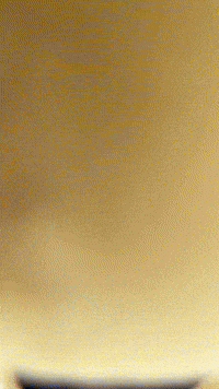 Zoom Hello GIF by Youtooz