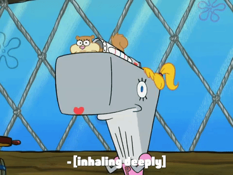 season 8 bubble troubles GIF by SpongeBob SquarePants