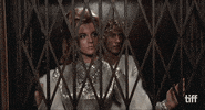 Movie Reaction GIF by TIFF