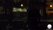 GIF by Space