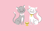 Fat Cat Cats GIF by Jackie Lay