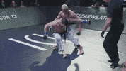 karatecombat sports sport mma fighter GIF