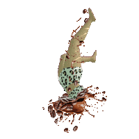 elistorycriativo coffe café cafezim mergulho Sticker