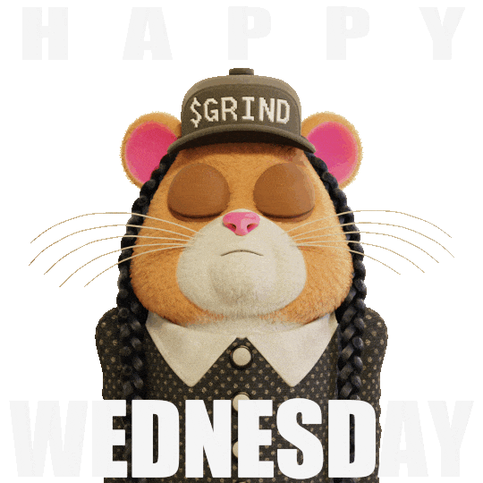 Wednesday Hamster Sticker by Grind