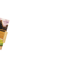 Beer Drinking Sticker by Canaan Smith