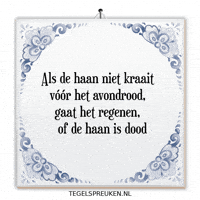 Nl Regen GIF by Tegelspreuken.nl