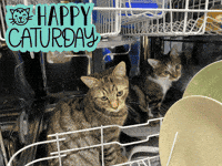 Happy Double Trouble GIF