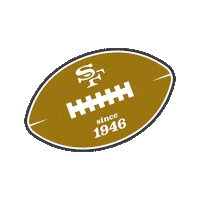 National Football League Sticker by San Francisco 49ers