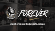 fans boots GIF by CollingwoodFC