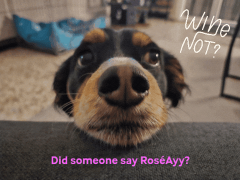 GIF by ChangeForChange