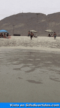 sin GIF