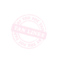 Summer Glow Sticker by The Fox Tan