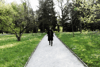 Wundersaar wundersaar GIF