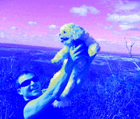 onegreatforce exp realty the hardens GIF
