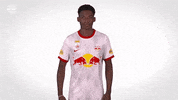 Red Bull Sport GIF by FC Red Bull Salzburg