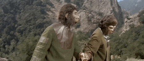 planet of the apes kiss GIF