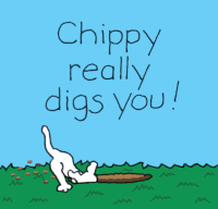 GIF by Chippy the dog