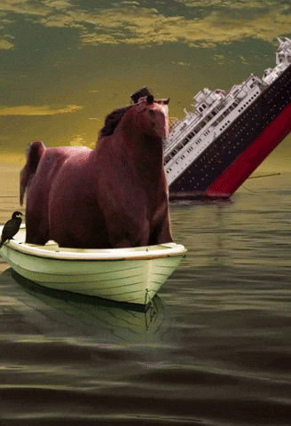 Honse GIF