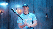 University Of North Carolina Baseball GIF by UNC Tar Heels