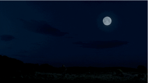 Full Moon Werewolf GIF by Showtime