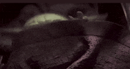 yoda baby yoda mandalorian babyyoda GIF