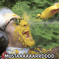 Mustard Condiment GIF