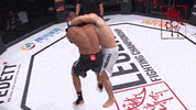 GIF by Legend FC