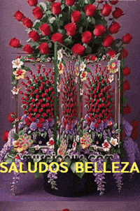 Amigos Flores GIF by Murcianys LLC
