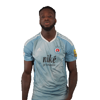 Football Soccer Sticker by Fortuna Liga