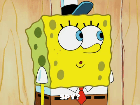 season 5 GIF by SpongeBob SquarePants